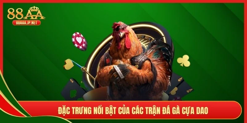 Đặc trưng nổi bật của các trận đá gà cựa dao